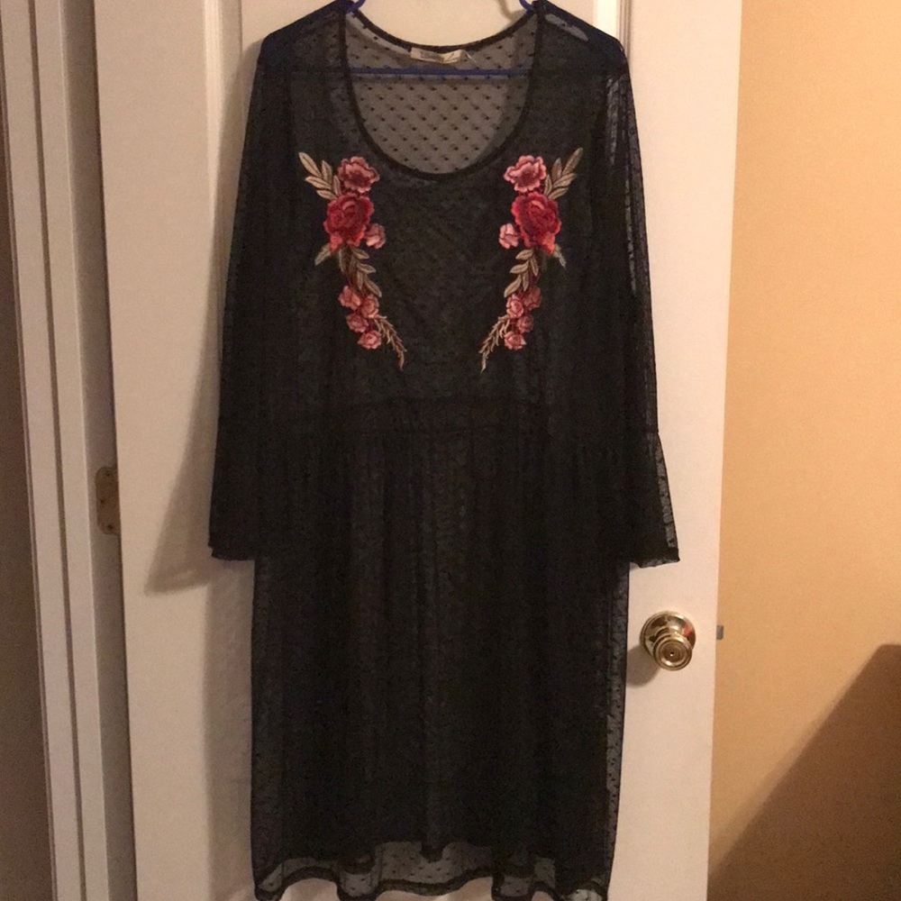 Sexy Sheer Dress!